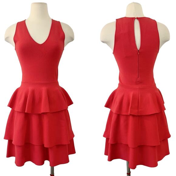 Parker Bermuda Knit Roseberry Ruffle Dress Mini | Size XS NWT - Picture 1 of 12